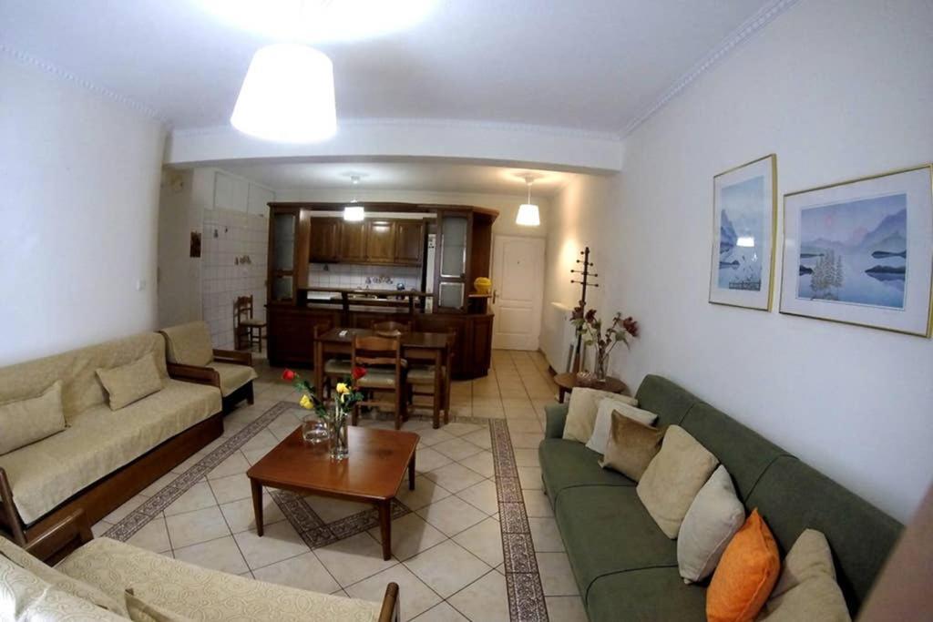 Big Apartment 1 - City Center Каламбака Екстер'єр фото